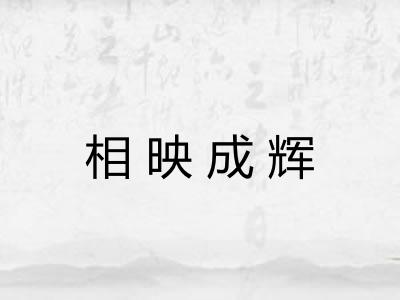相映成辉