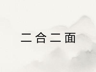 二合二面