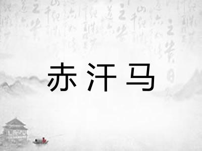 赤汗马