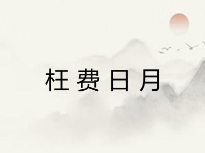 枉费日月