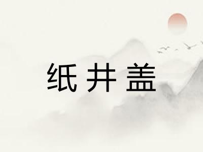 纸井盖