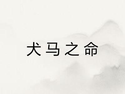 犬马之命