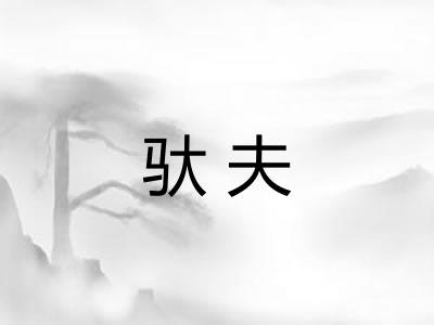 驮夫