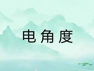 电角度