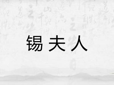 锡夫人