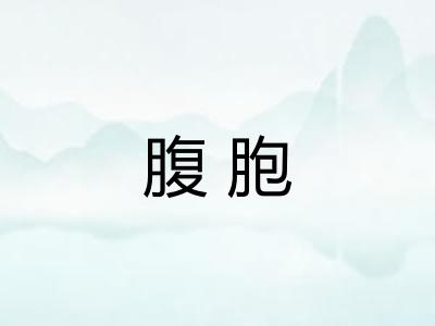 腹胞