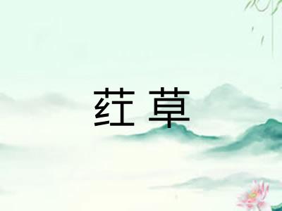 荭草