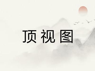 顶视图