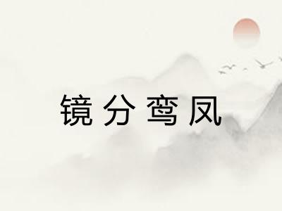 镜分鸾凤
