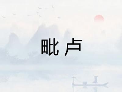毗卢