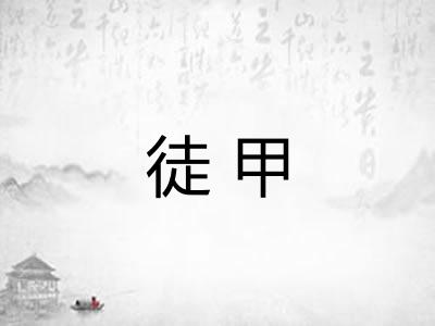 徒甲