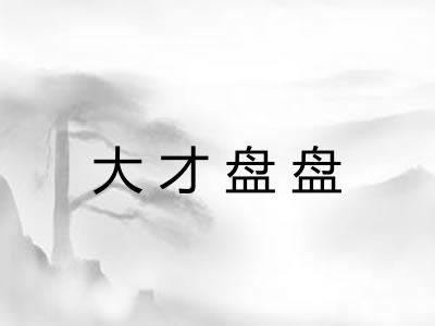 大才盘盘