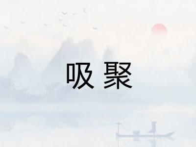 吸聚