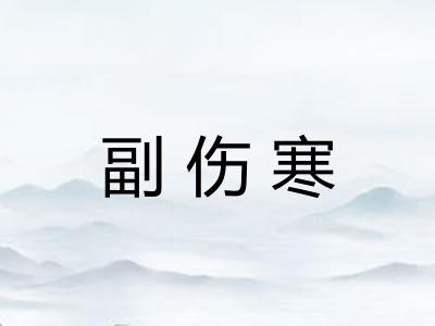 副伤寒