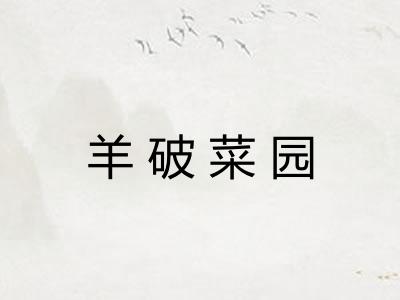 羊破菜园
