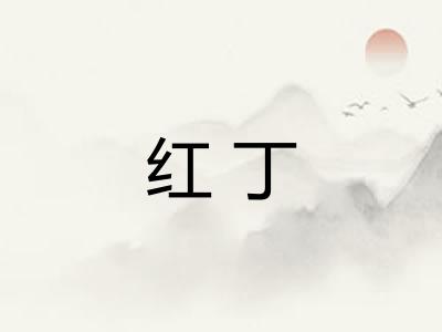 红丁