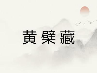 黄檗藏