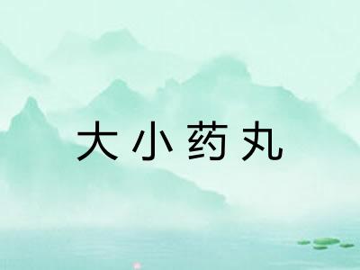 大小药丸