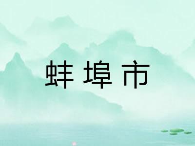 蚌埠市