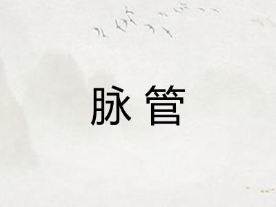 脉管