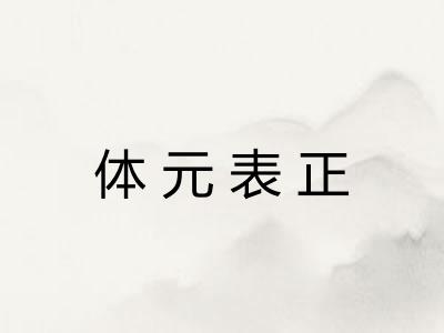 体元表正