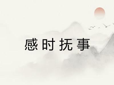 感时抚事