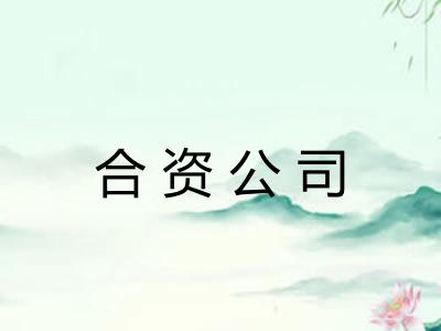 合资公司