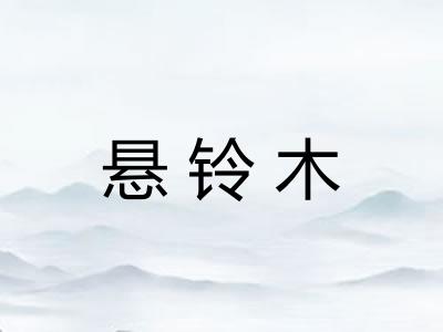 悬铃木
