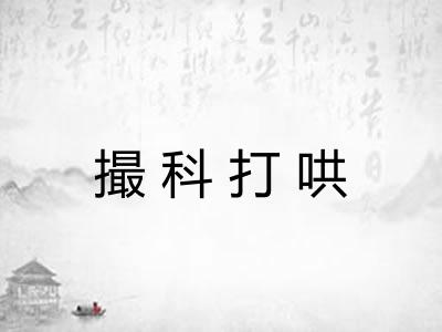撮科打哄