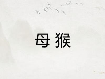 母猴