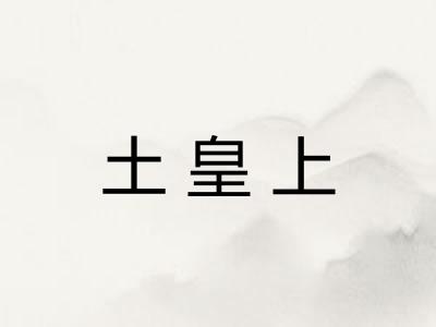 土皇上