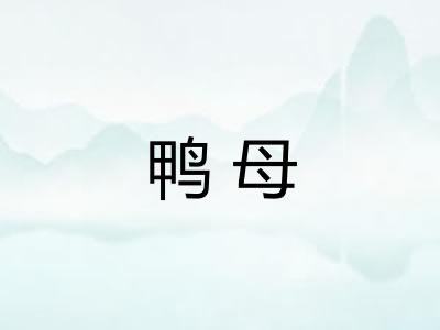 鸭母