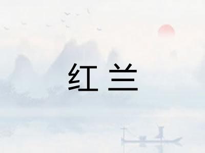 红兰