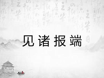 见诸报端