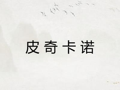皮奇卡诺