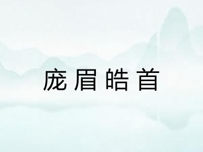 庞眉皓首