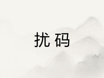 扰码