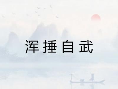 浑捶自武