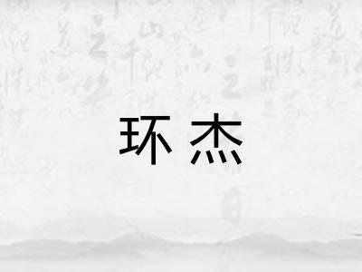环杰