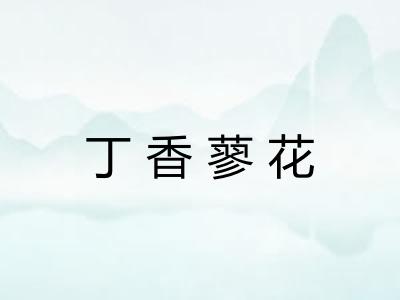 丁香蓼花