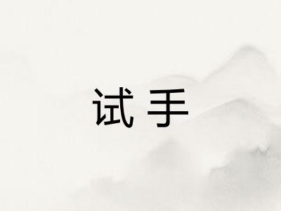 试手