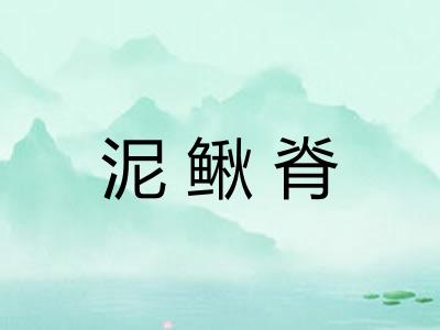 泥鳅脊