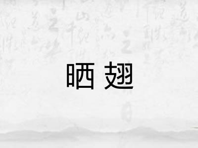 晒翅