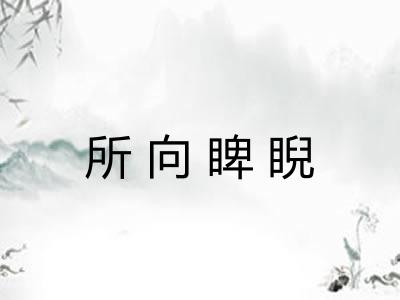 所向睥睨