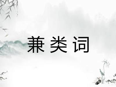 兼类词