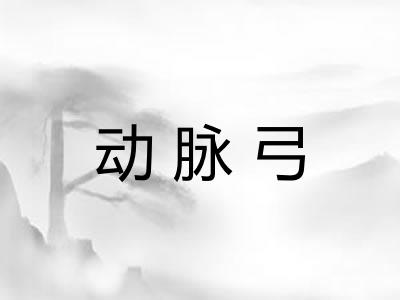 动脉弓