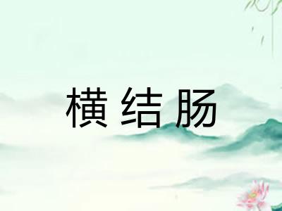 横结肠