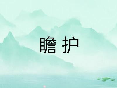 瞻护