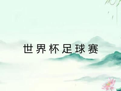 世界杯足球赛