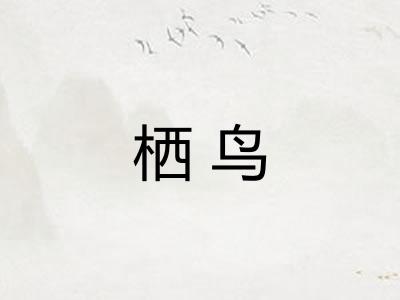 栖鸟